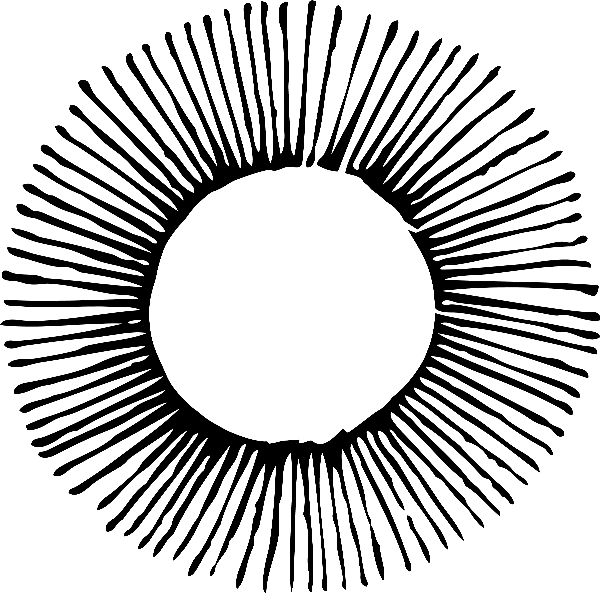 Add simple polls for guest interaction